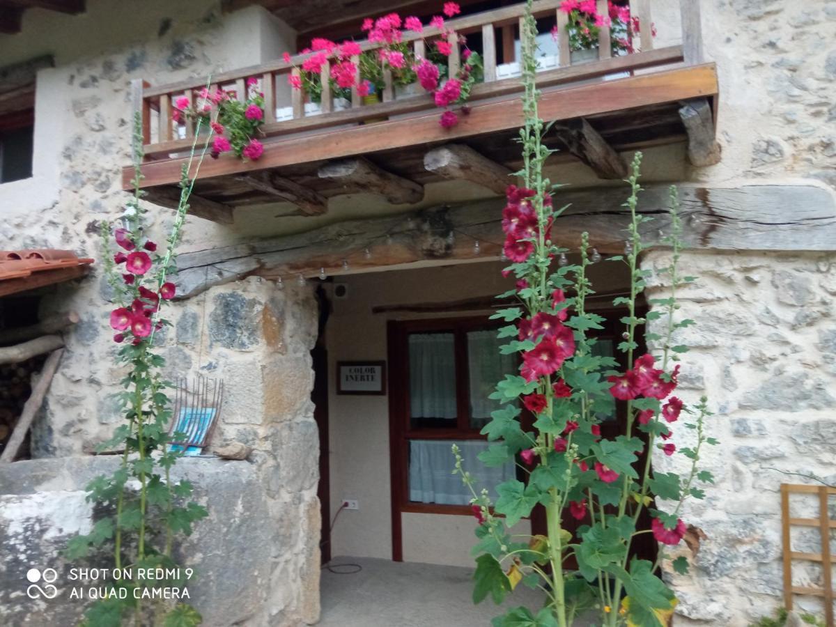 Belaustegi Turismo Rural Ispaster Экстерьер фото